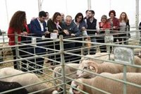 Junta amplia el plazo de solicitud de ayudas para celebrar certámenes y jornadas técnicas para agricultores y ganaderos