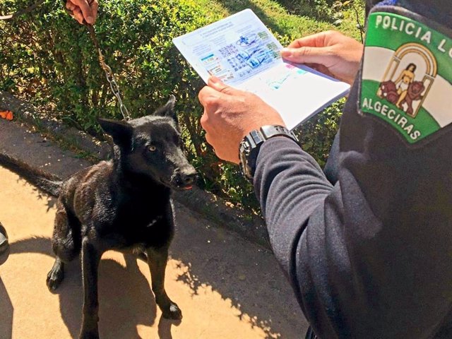 Control de mascotas realizado por agentes del Cuerpo de la Policía Local de Algeciras (Cádiz)