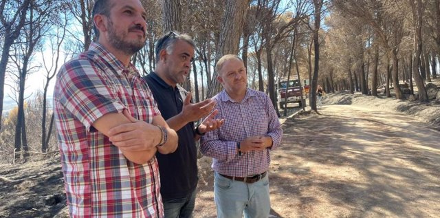 El director general de Medio Natural y Gestión Forestal, Diego Bayona, durante su visita a la zona del Santuario de la Misericordia de Borja.