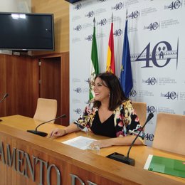 La portavoz parlamentaria y vicesecretaria general del PSOE-A, Ángeles Férriz, este martes en rueda de prensa.