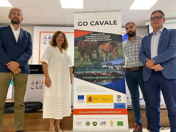Presentación del proyecto 'Go Cavale'
