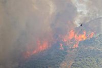 El alcalde de Mijas (Málaga), "satisfecho" con aprobación de zona catastrófica por incendios, pide plan de reforestación