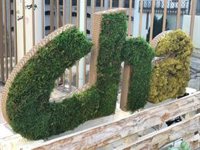 CHA advierte de que la "nueva puerta abierta del PP" al fracking sería retomar un grave problema ambiental para Aragón