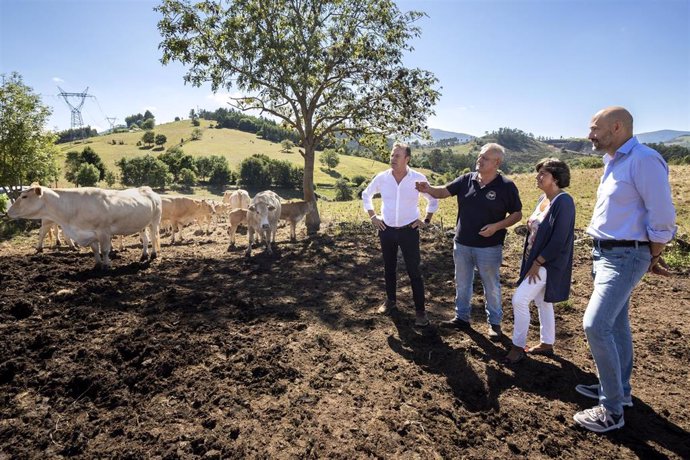 El Consejero De Desarrollo Rural, Ganadería, Pesca, Alimentación Y Medio Ambiente, Guillermo Blanco, Visita En Puente Viesgo Una Ganadería De Raza Blonda De Aquitania, Recientemente Incluida En La Ampliación De La IGP De La Carne