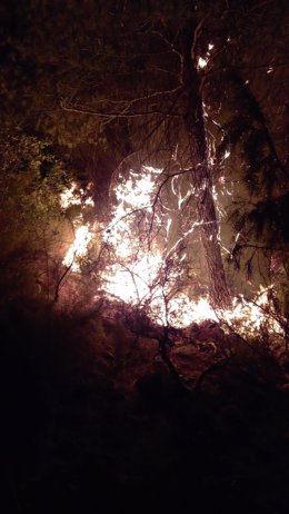 Incendio forestal declarado en Benatae (Jaén)