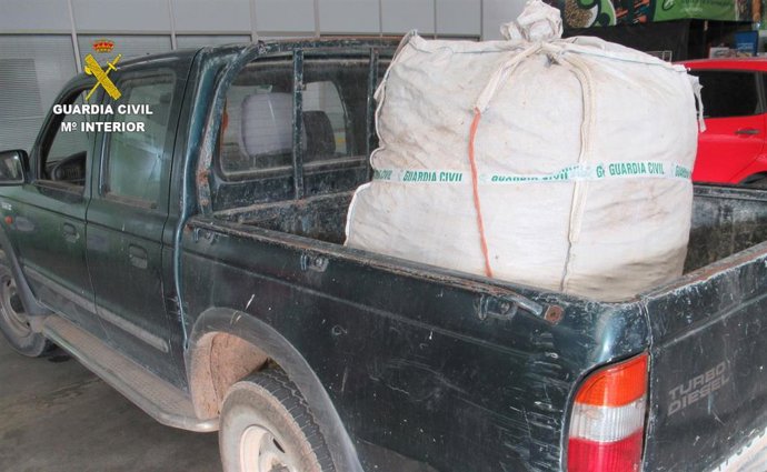 Robo de garrofas en Onda