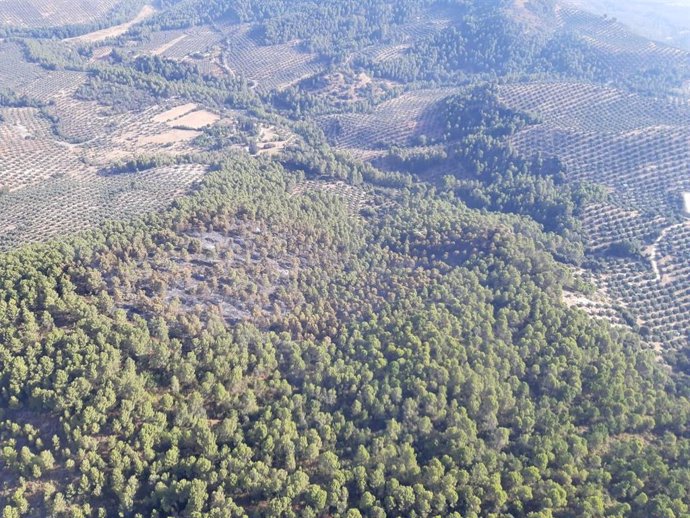 Vista aérea de uno de los focos del incendio de Benatae, ya sin llamas