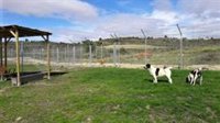 Logroño contará con otras nueve zonas de esparcimiento canino