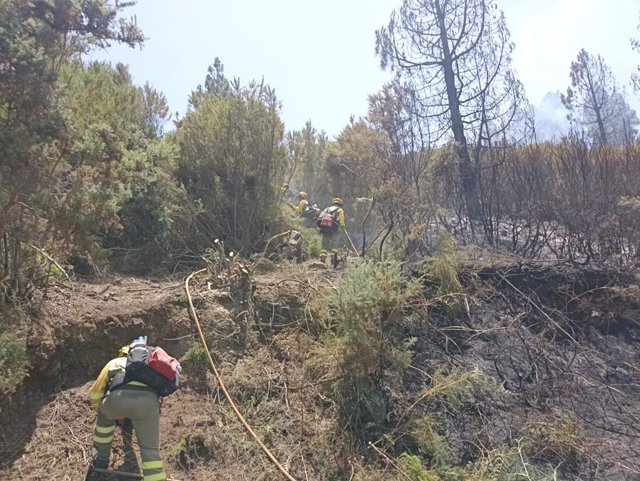 Archivo - Brigadas forestales en el incendio del norte de Tenerife