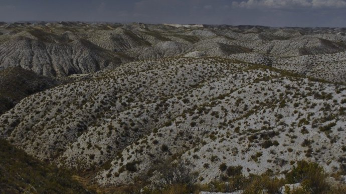 SEO/BirdLife se opone a la implantación de nuevas centrales eólicas en Los Monegros