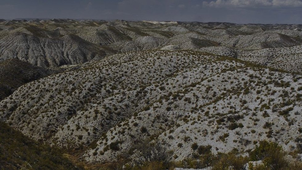 SEO/BirdLife se opone a la implantación de nuevas centrales eólicas en Los Monegros