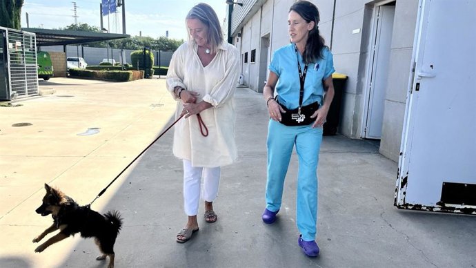 Isabel Albás en el centro de Salud y Bienestar Animal de Sadeco.
