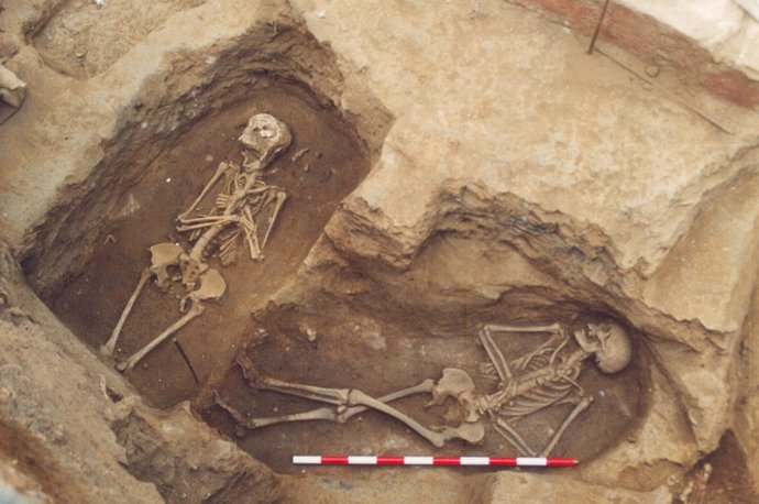 Imatges d'excavacions