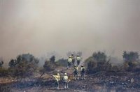 El Consell pedirá al Gobierno recursos de la UE para los planes integrales de recuperación en zonas de incendios