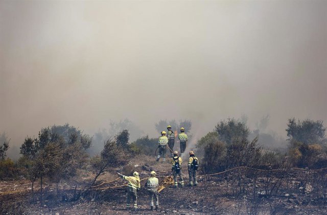 Miembros de las Brigadas de Refuerzo de Incendios Forestales (BRIF) trabajando en el incendio forestal de bejís, en imagen de archivo