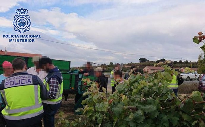 Inspecciones de control de la normativa laboral en las campañas de fruta y la vendimia