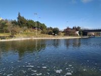 El géiser del lago del Rodeo de Cáceres da positivo en legionela y permanecerá sin funcionar