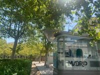 La capital ya ha recuperado el 83% del turismo y el internacional supera al nacional