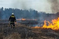 Los incendios forestales han disparado en un 400% los siniestros causados por el fuego este verano, según AXA