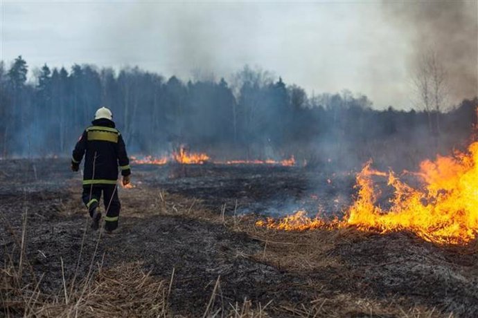 Incendio provocado en la Península Ibérica durante la época estival