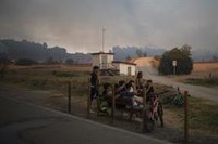 Ecologistas lamentan que los decretos de ahorro e incendios no incidan "en las causas de la crisis climática"