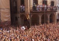 Tarazona ya está preparada para la lluvia de tomates al Cipotegato que da inicio a sus fiestas patronales este sábado