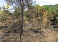 Investigan por el incendio forestal de San José de la Montaña a un operario que usó una radial cerca del monte