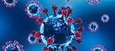 Foto: Un estudio concluye que los nuevos coronavirus son los que presentan un mayor riesgo de contagio