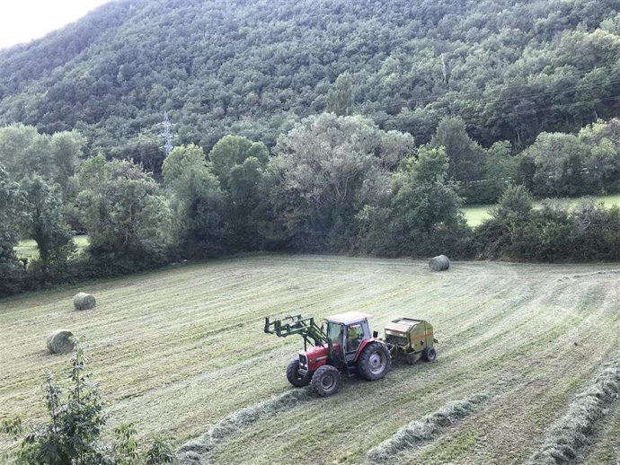 Archivo - Un tractor recoge alpacas de hierba