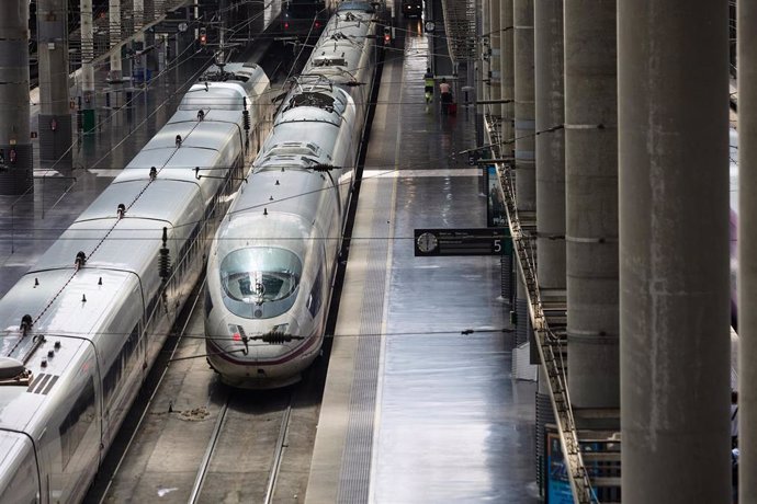 Varios trenes estacionados en la estación de Ave Madrid - Puerta de Atocha.