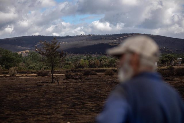 Archivo - Un hombre mira el estado de la zona de Cabañas de Aliste tras el incendio sofocado hace dos días e iniciado el pasado día 15 en la Sierra de la Culebra