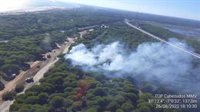 Declarado un incendio forestal en un paraje de Punta Umbría (Huelva)