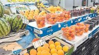La campaña de fruta de verano deja "sabor agridulce" a los agricultores por la subida de costes y la inflación