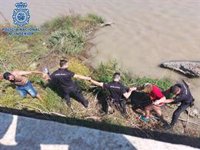 Una cadena humana logra rescatar a una mujer que se había caído al Guadalquivir en Coria del Río (Sevilla)