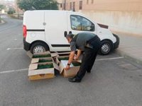 Dos detenidos en Atarfe (Granada) mientras robaban un camión con el conductor dentro dormido