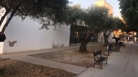 Vox alerta de la "ausencia" de pediatra en Palomares (Sevilla) que "obliga" a los vecinos a ir a otros pueblos