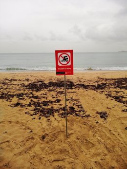 Archivo - Cartel prohibición baño en playa de Can Pere Antoni, en una imagen de archivo de marzo de 2019.