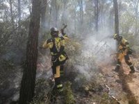 Extinguido el incendio forestal en Calvi tras quemar 0,02 hectáreas de pinar