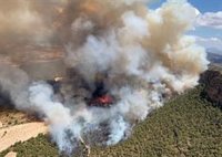 Más de 130 efectivos aéreos y terrestres trabajan en Jumilla en un incendio forestal declarado en la Sierra Larga