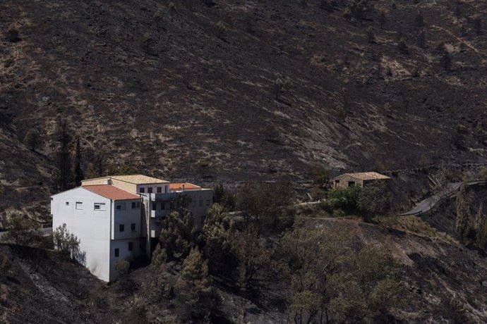 Viviendas en medio del monte calcinado por el incendio forestal de Bejís