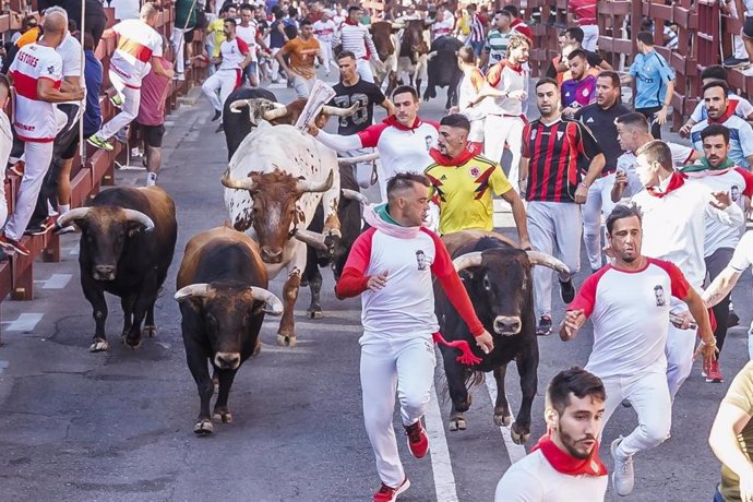 Encierro en las fiestas de 'Sanse'