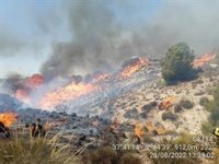 Medio centenar de bomberos trabaja en la extinción de un incendio en Cortes de Baza (Granada)
