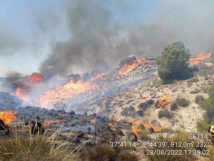 Incendio en Cortes de Baza, en Granada.