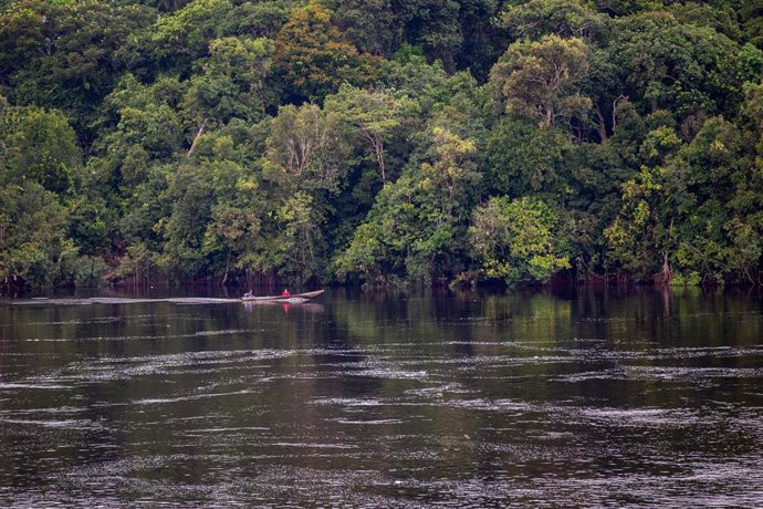 Archivo - Imagen de archivo de la Amazonía brasileña, en la frontera entre Brasil y Colombia