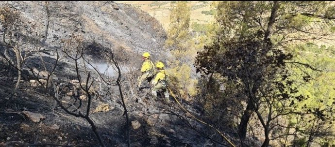 El incendio forestal declarado en Sierra Larga, en Jumilla (Murcia), continúa estabilizado