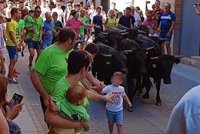AnimaNaturalis denuncia la participación de menores en una exhibición de trashumancia en Nules