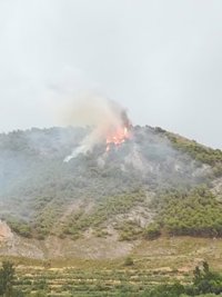 Estabilizado el fuego forestal declarado en el paraje La Cruz de Nívar de Granada por la caída de un rayo