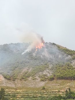 Incendio forestal en el entorno del paraje La Cruz de Nívar, en el área metropolitana de Granada