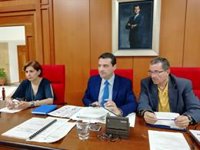El secretario del Pleno de Córdoba niega "obstrucción o impedimento" del alcalde para investigar en Infraestructuras
