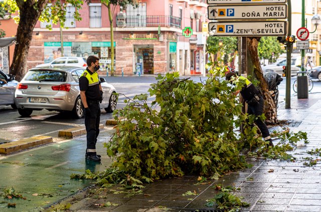 Dos policías municipales retiran una gran rama caída por la lluvia en la calle Luis Montoto de Sevilla Sevilla (Andalucía, España), a 22 de octubre de 2020.